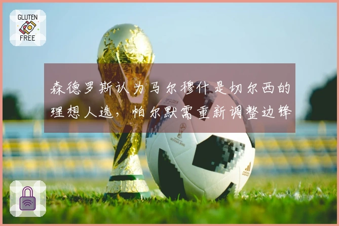 森德罗斯认为马尔穆什是切尔西的理想人选，帕尔默需重新调整边锋角色