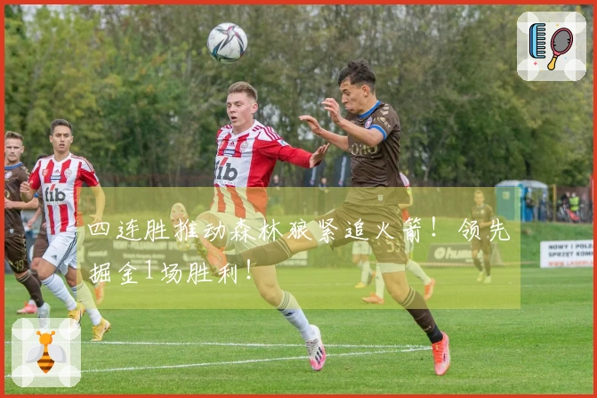 四连胜推动森林狼紧追火箭！领先掘金1场胜利！